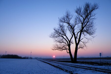 Snow cold winter