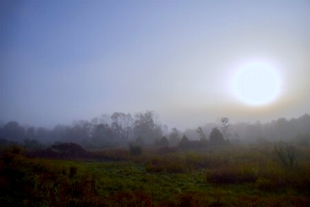 Fog landscape nature