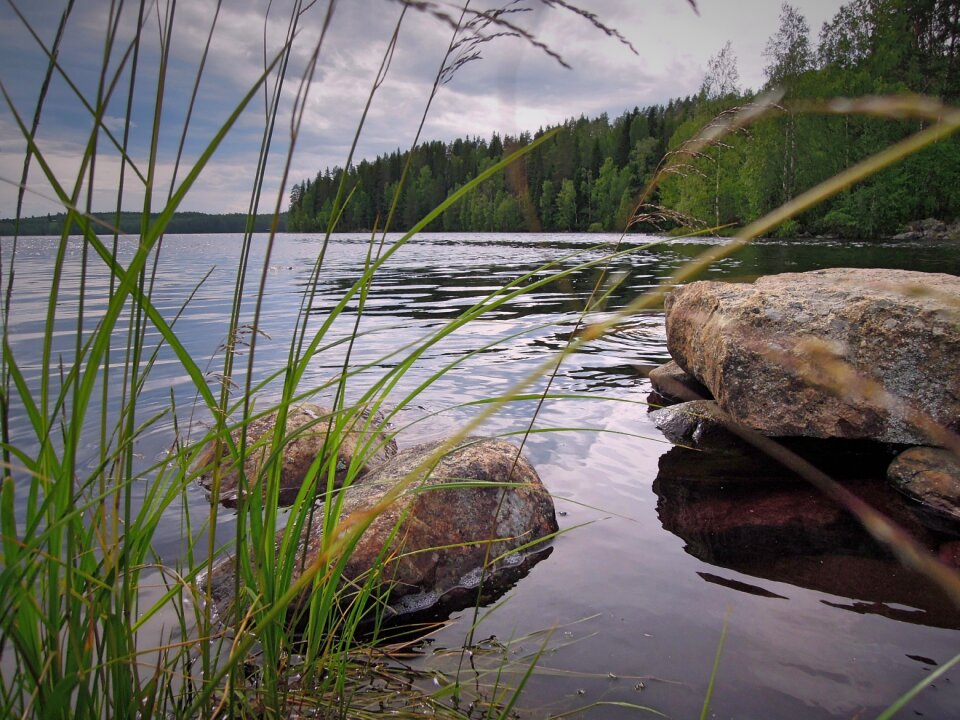 The stones nature summer