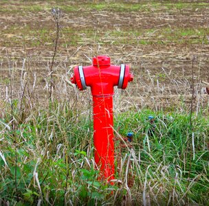 Hydrant red grass