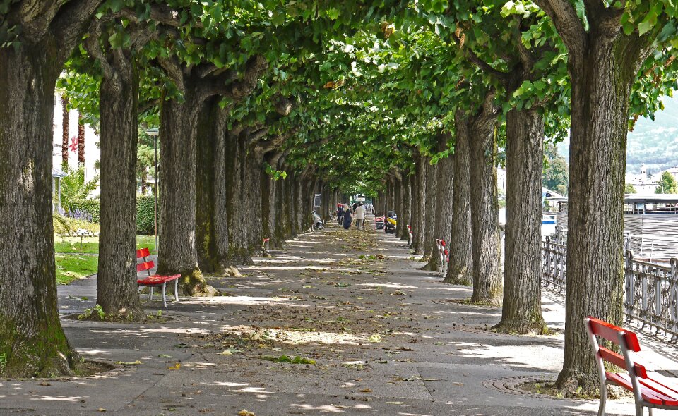 Promenade lake lugano benches
