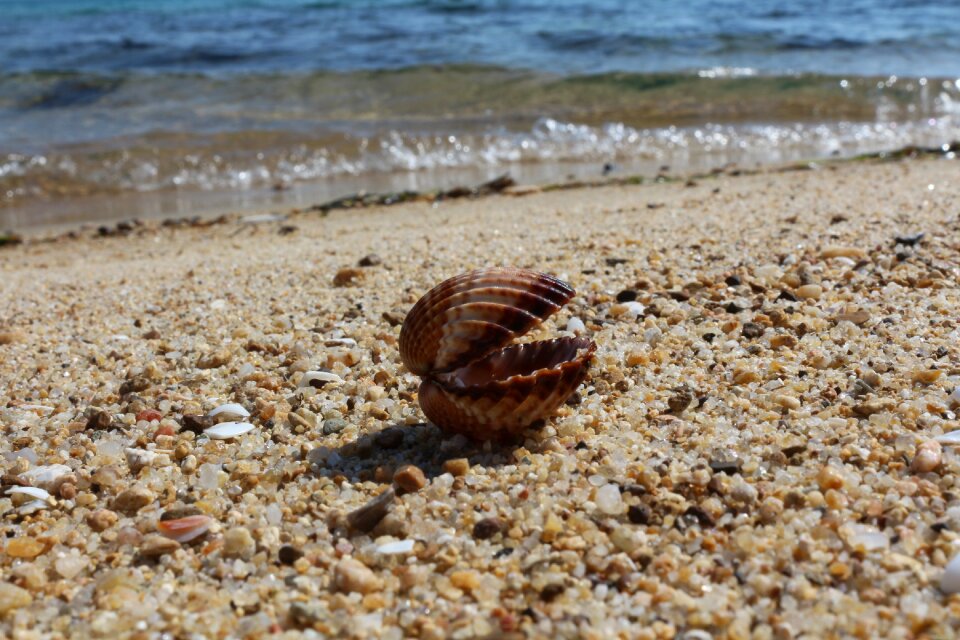 Sea sand