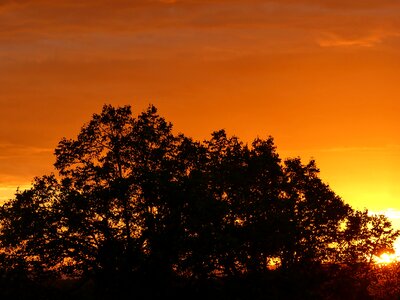 Orange burn light