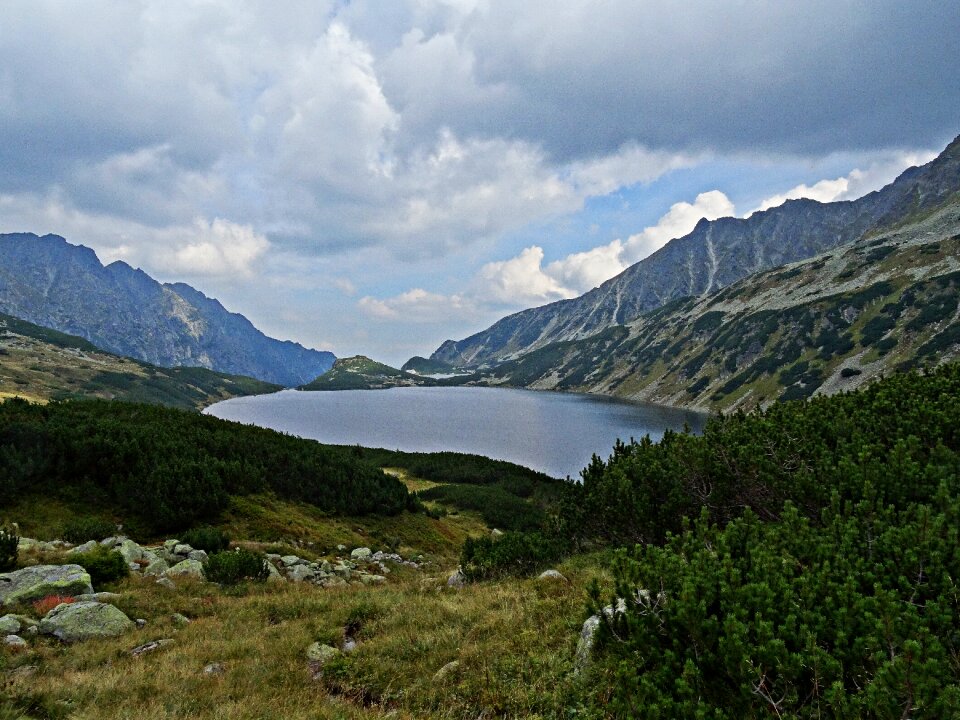 Pond nature tatry