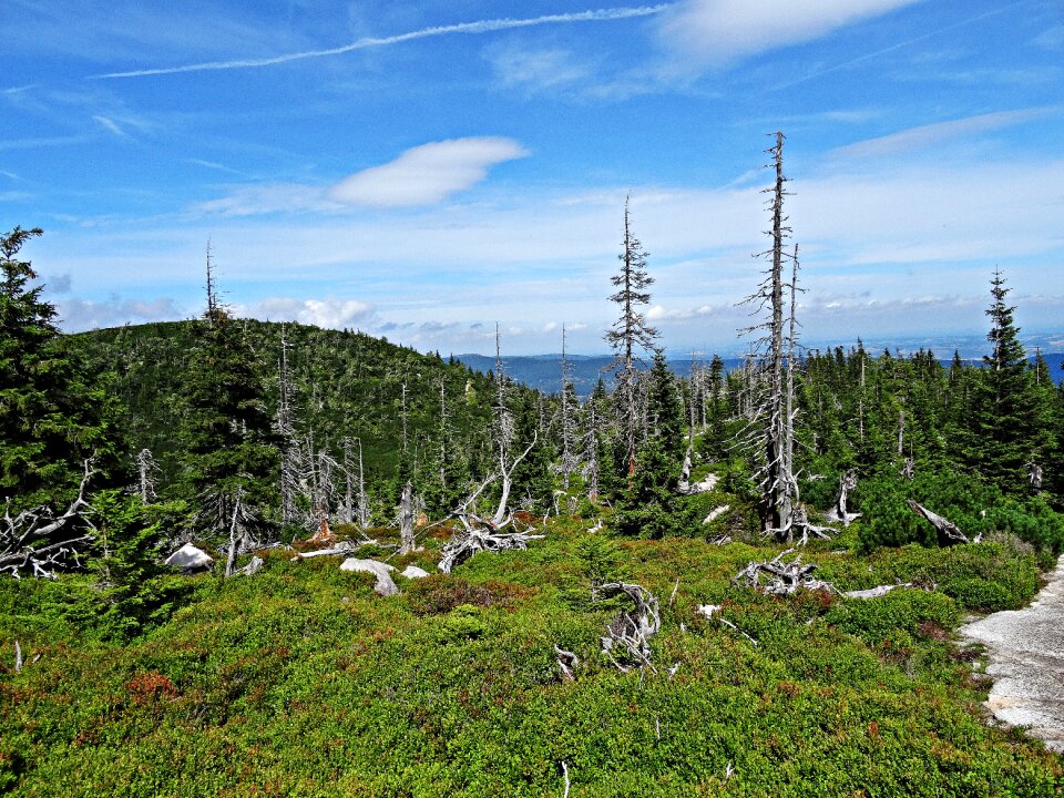 Tatry top view tourism