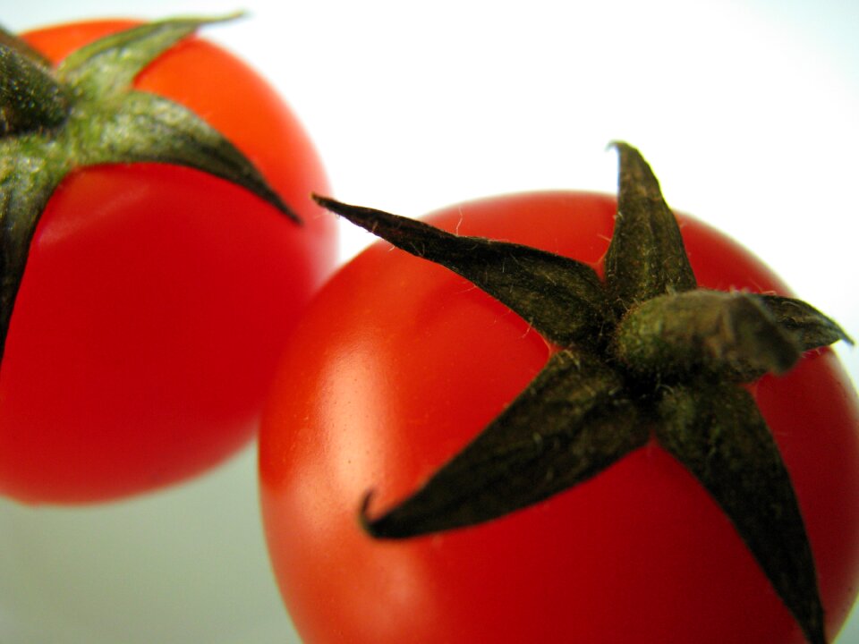Tomato vegetable food