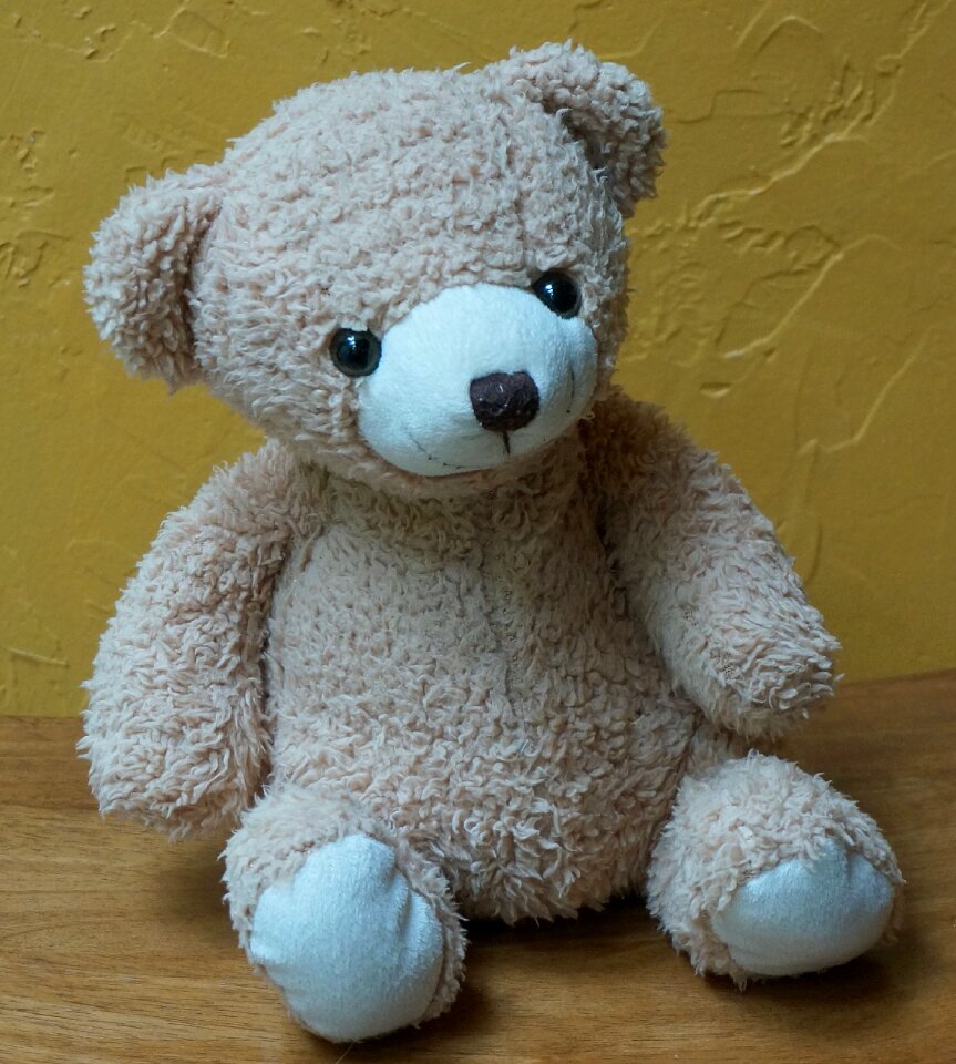 Stuffed animal cute photo