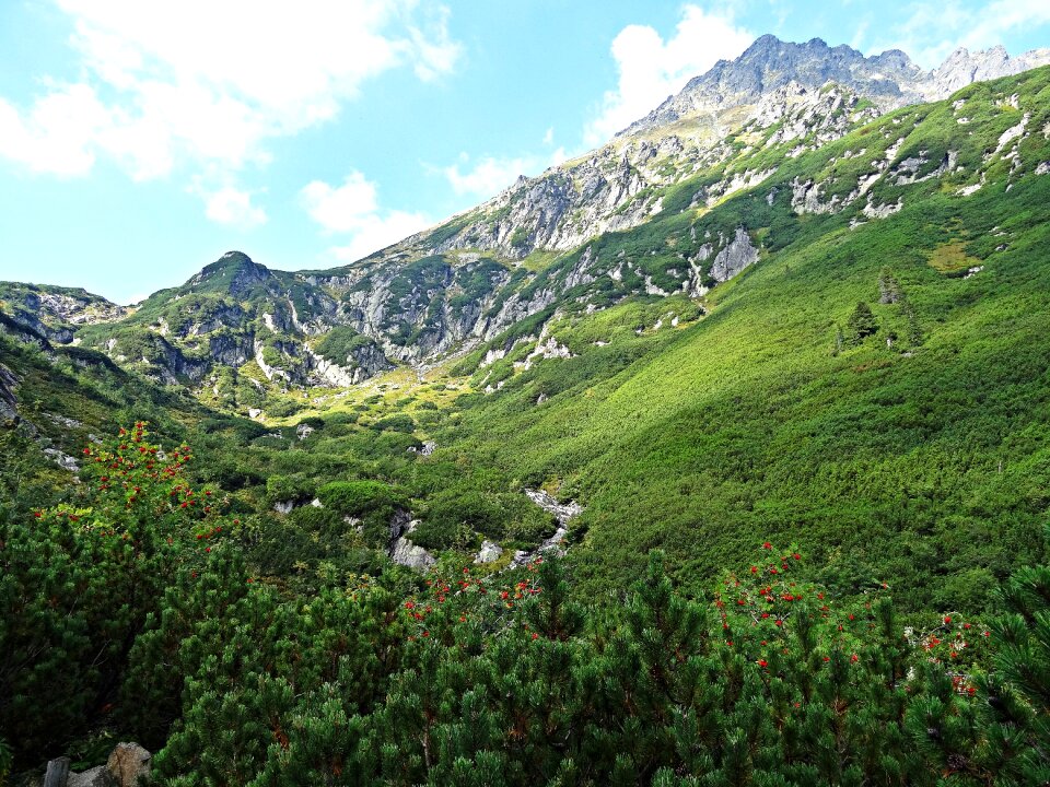Tatry top view tourism