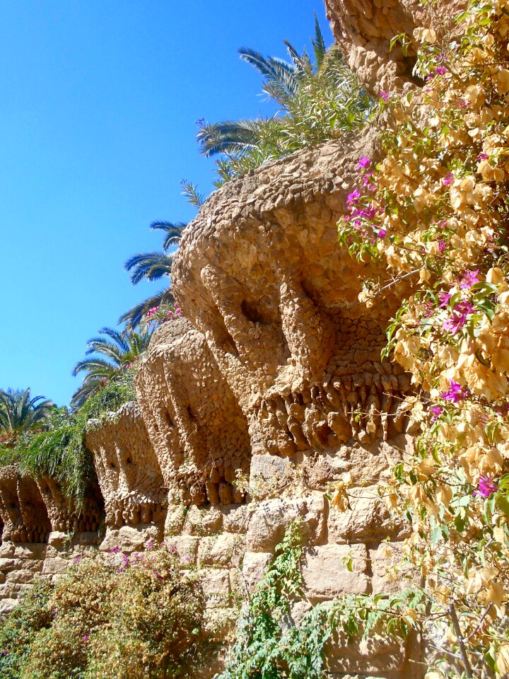 Nature architecture antonio