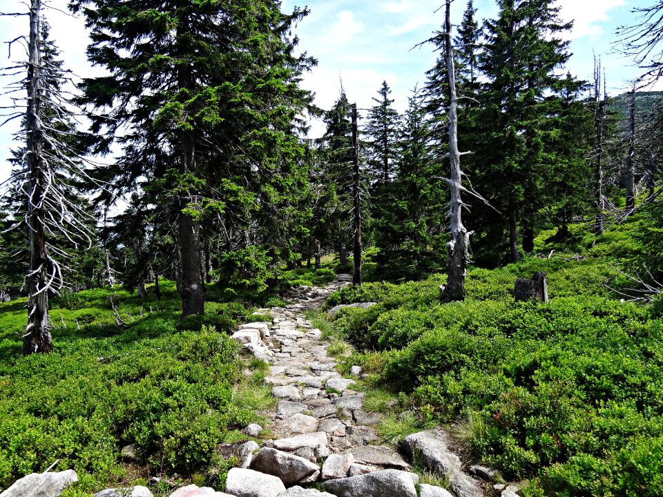 Tatry top view tourism