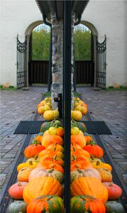 Street decoration halloween