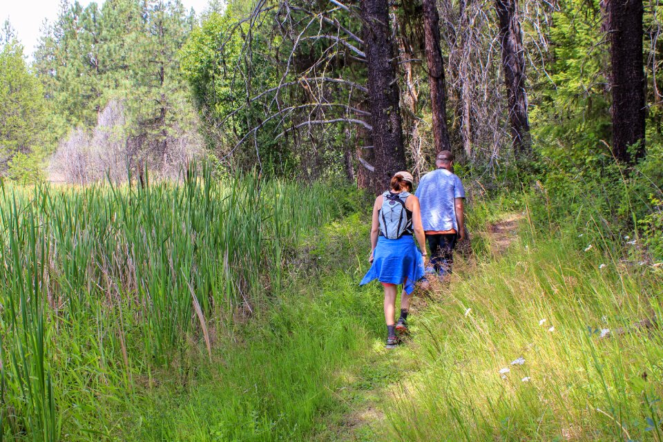 Active nature forest