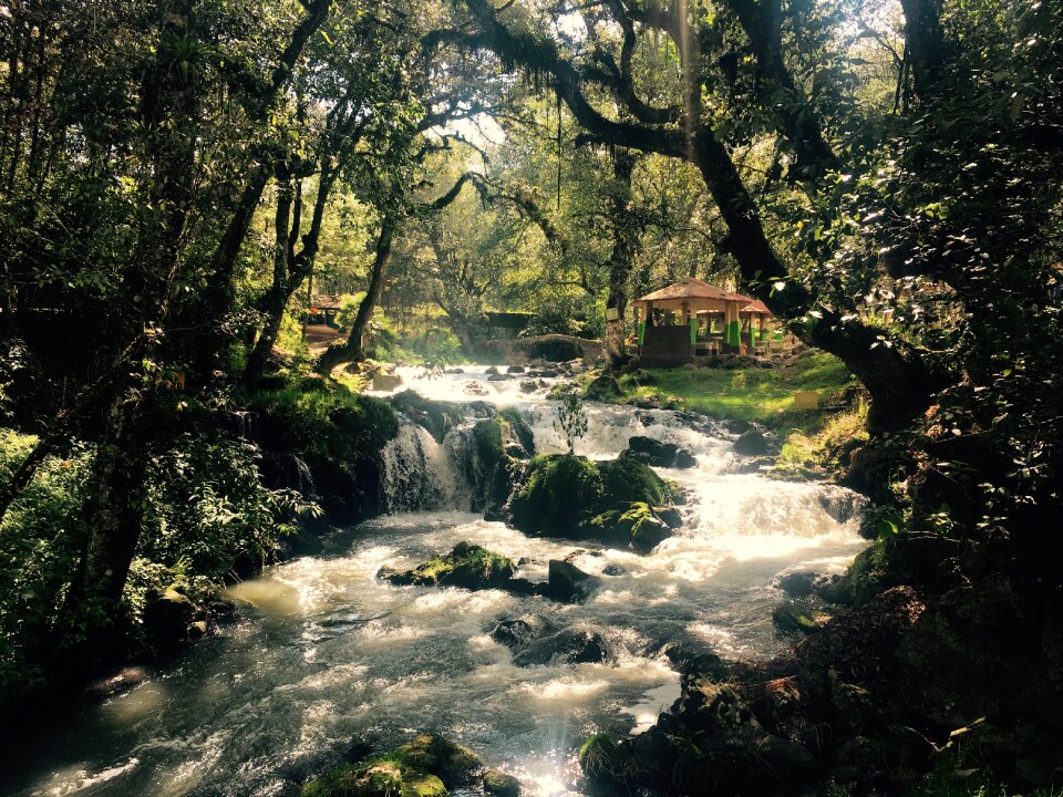 River nature landscape