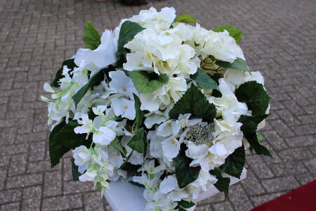 Marry strauss bouquet photo