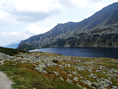 Pond nature tatry photo