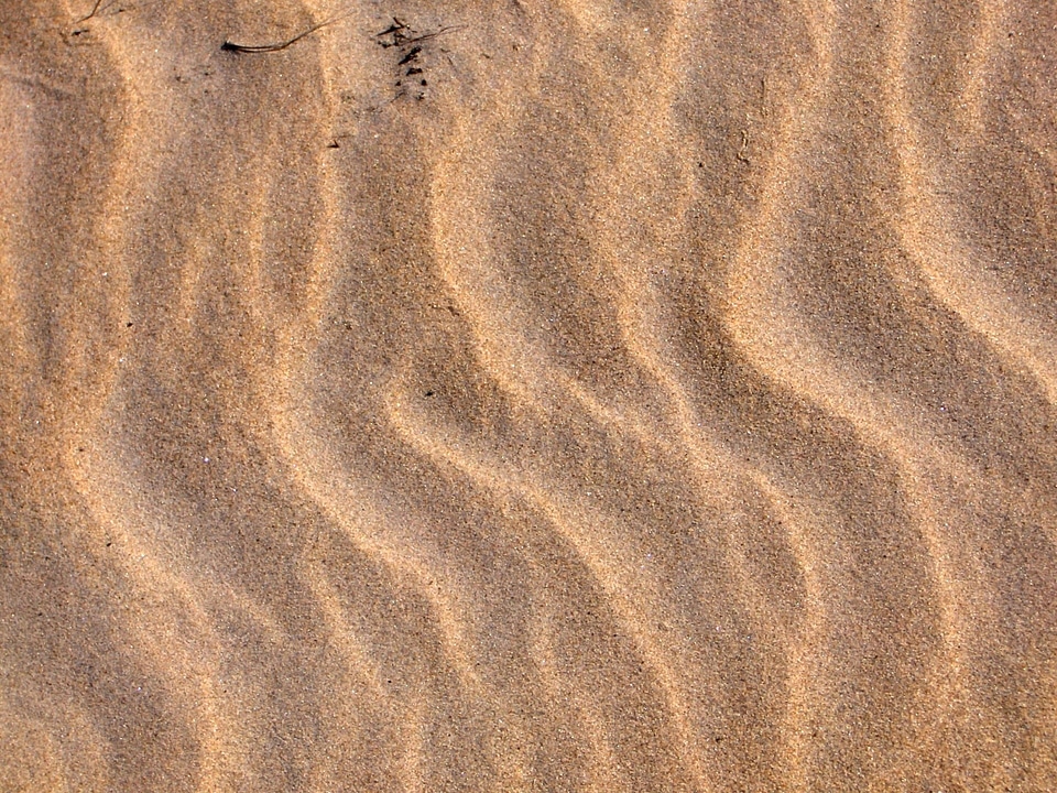 Pattern texture seashore