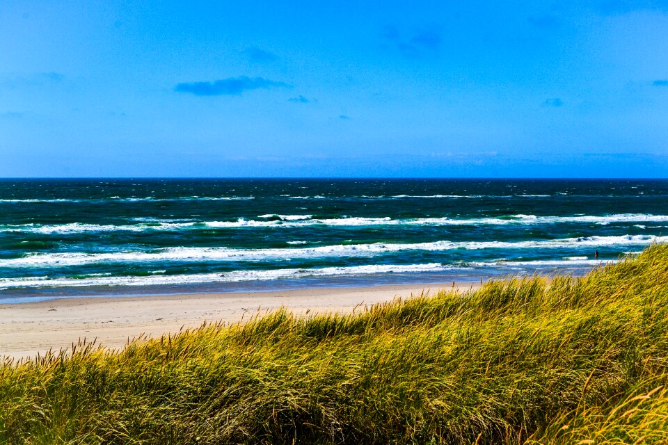 Beach denmark summer