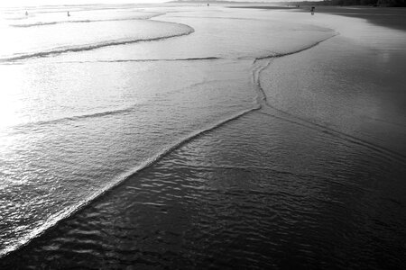 Beach landscape black and white photo