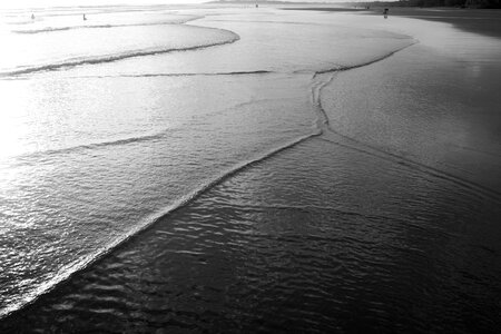 Beach landscape black and white
