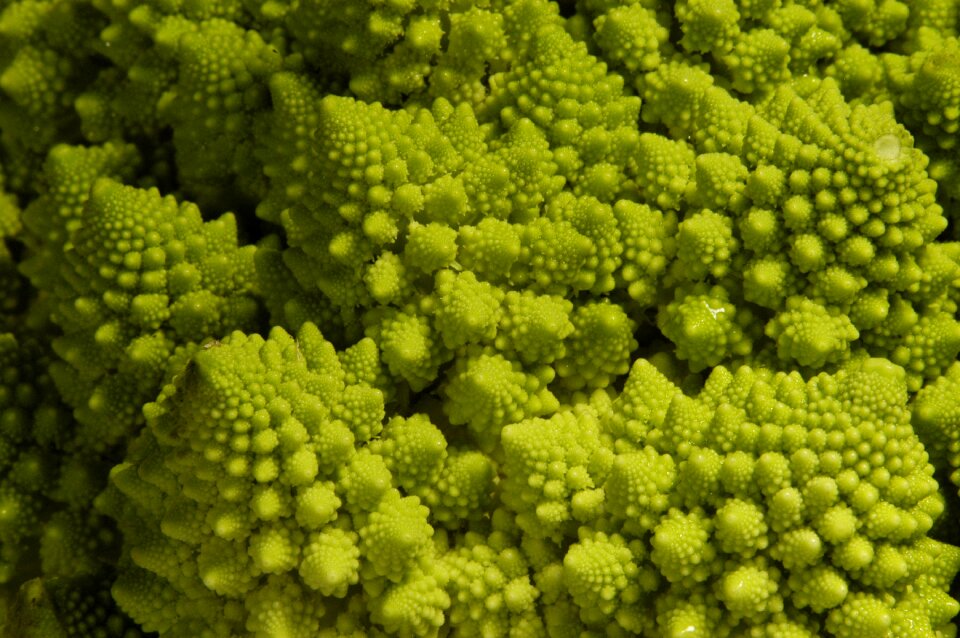 Vegetables cauliflower fractal