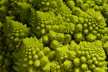 Vegetables cauliflower fractal