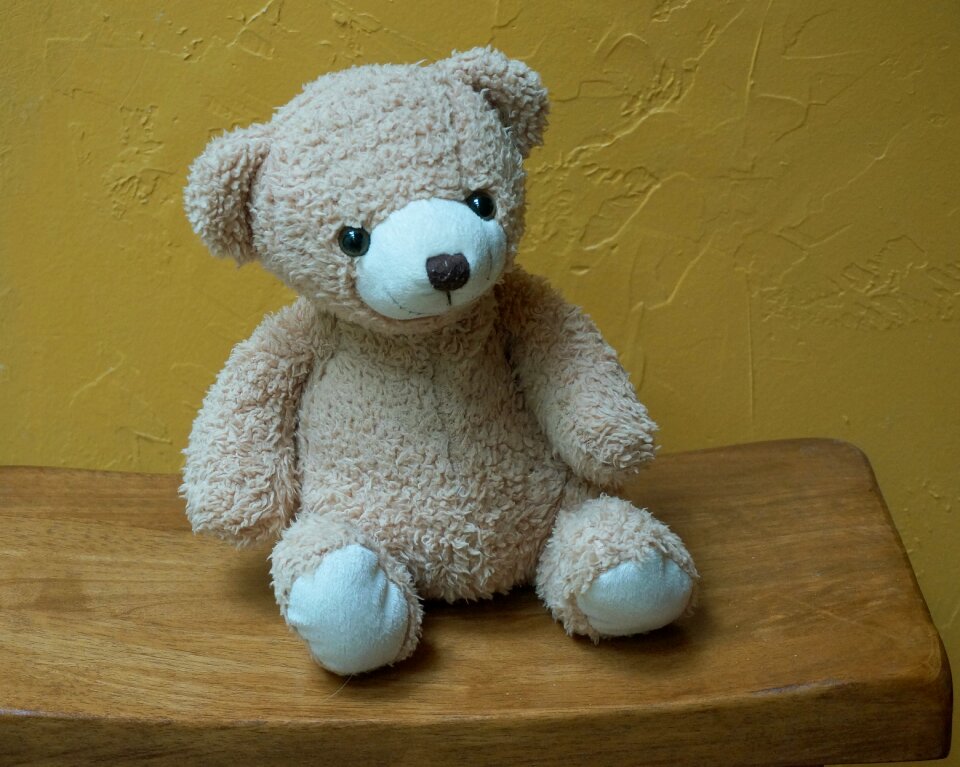 Stuffed animal cute