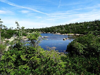 Pond nature tatry photo