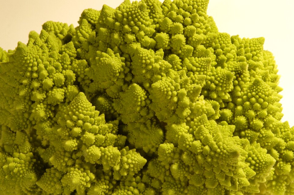Vegetables cauliflower fractal