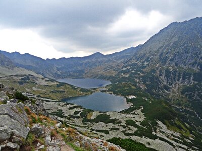 Pond nature tatry photo