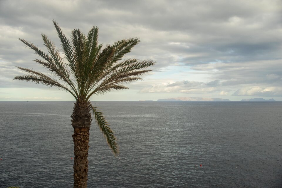 Tropical ocean summer