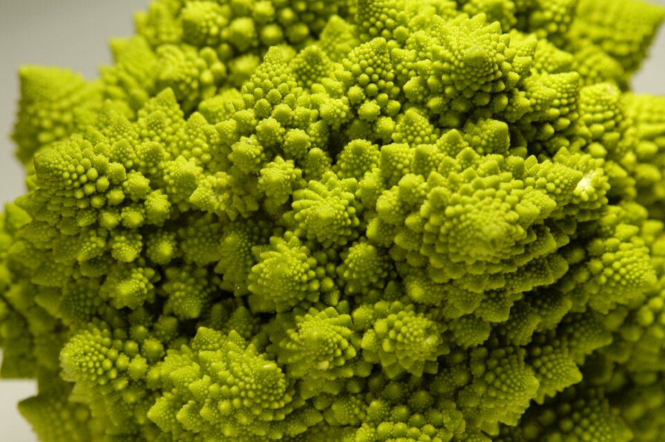 Vegetables cauliflower fractal