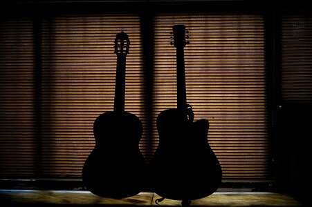 Silhouetts brown guitar black guitar photo