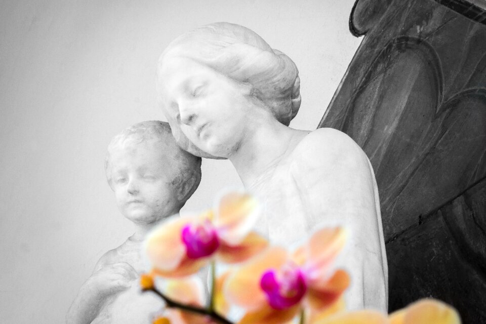 Flower church catholic