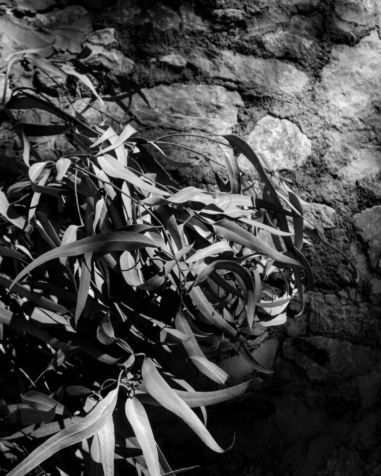 Shadows light stone wall