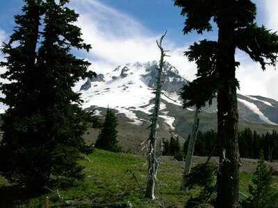 Wilderness nature northwest