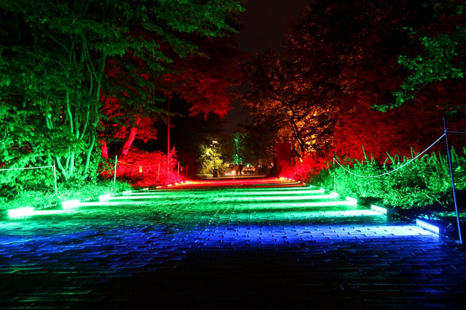 Light art at night avenue