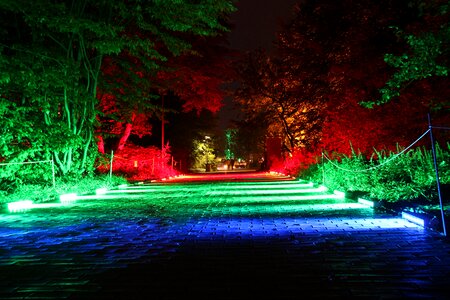 Light art at night avenue