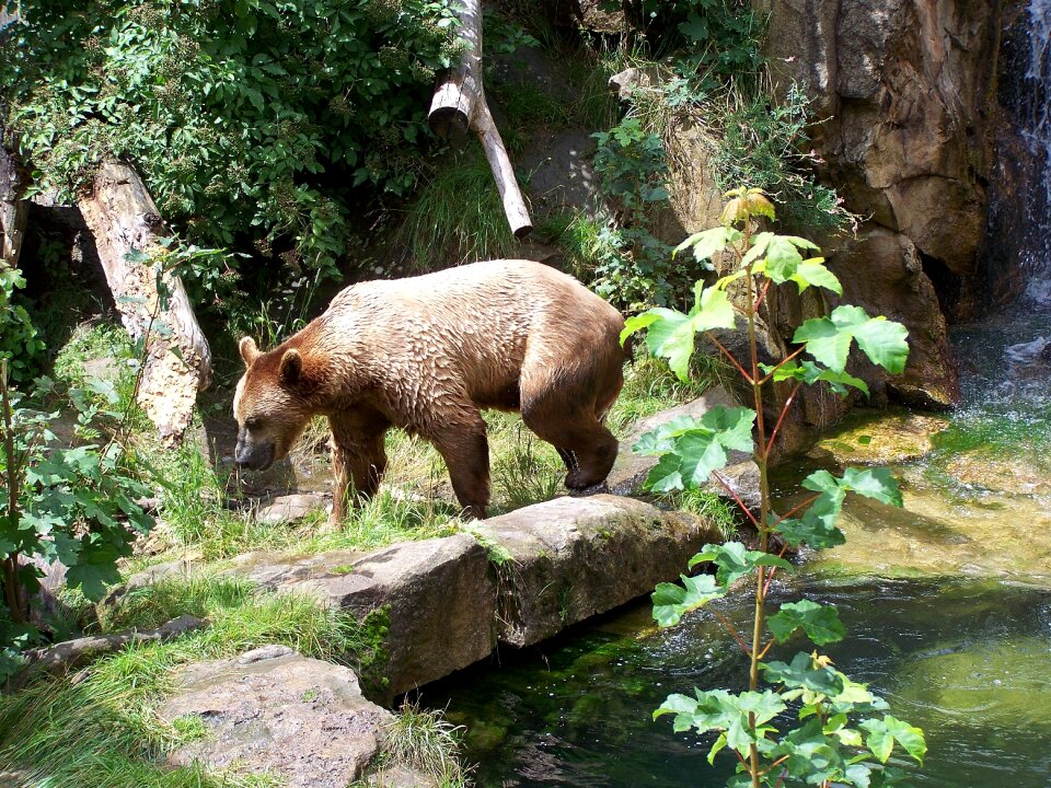 Zoo alpine zoo innsbruck