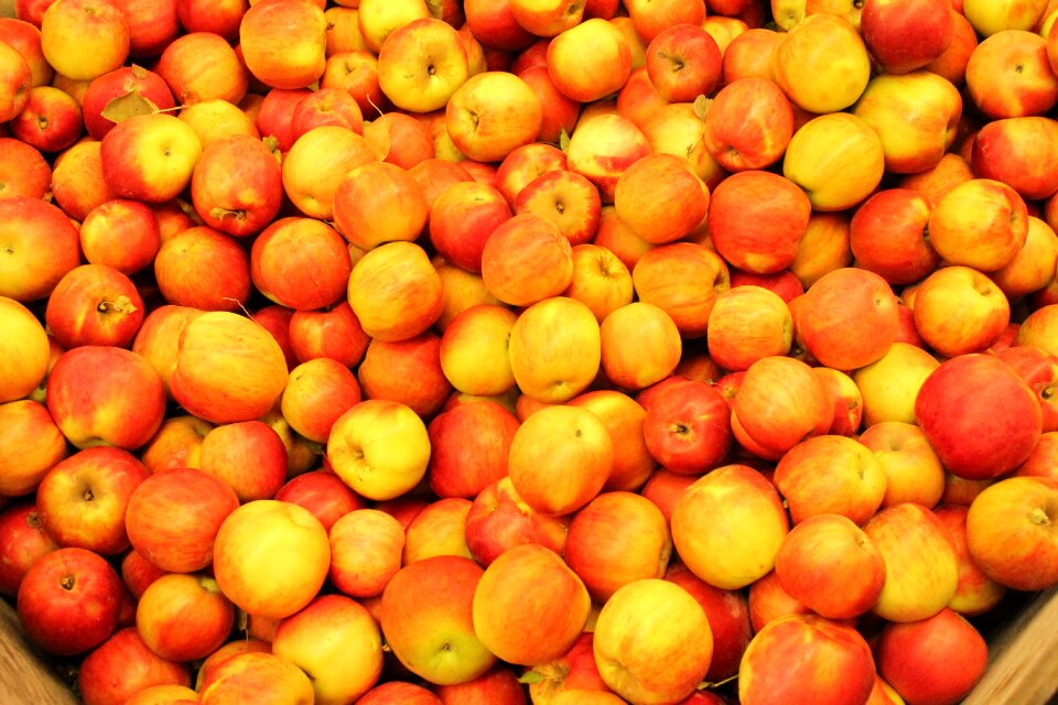 Fruit food nature