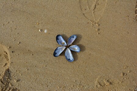 Artwork most beach by the sea