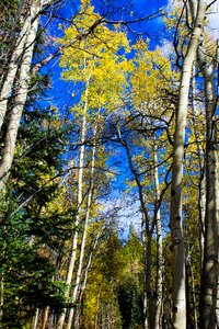 Scenic landscape mountain photo