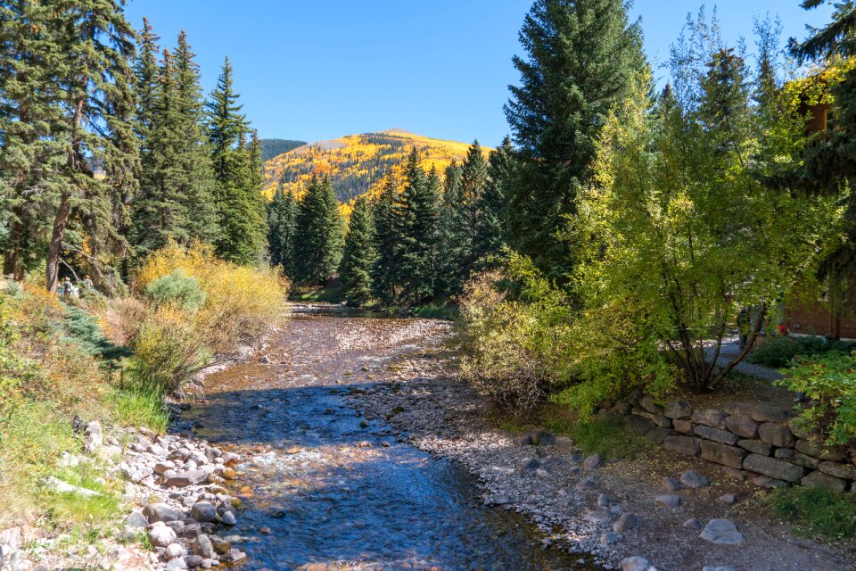 Stream rocks nature