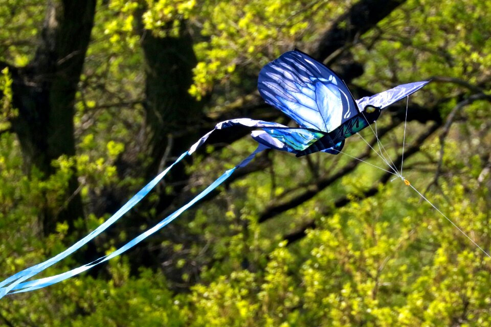 Outdoor butterfly kite