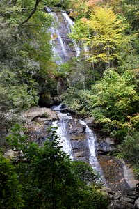 Georgia forest landscape