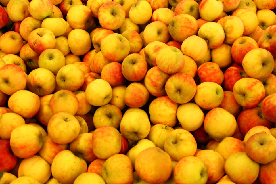 Fruit food nature