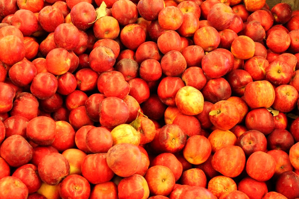 Fruit food nature