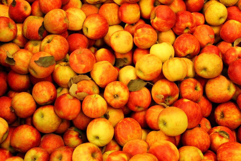 Fruit food nature