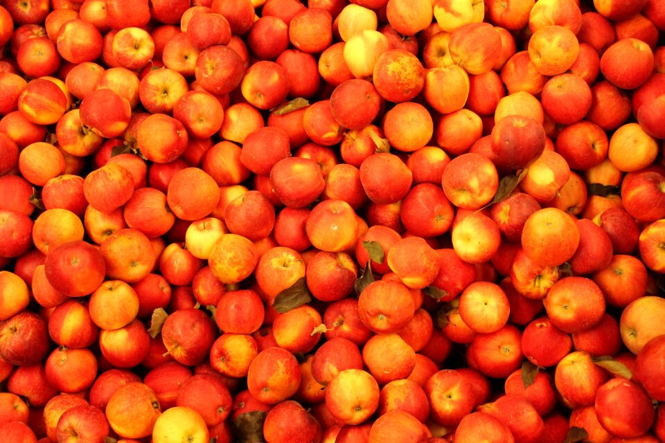 Fruit food nature