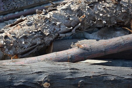 Tree trunks bark holzstapel