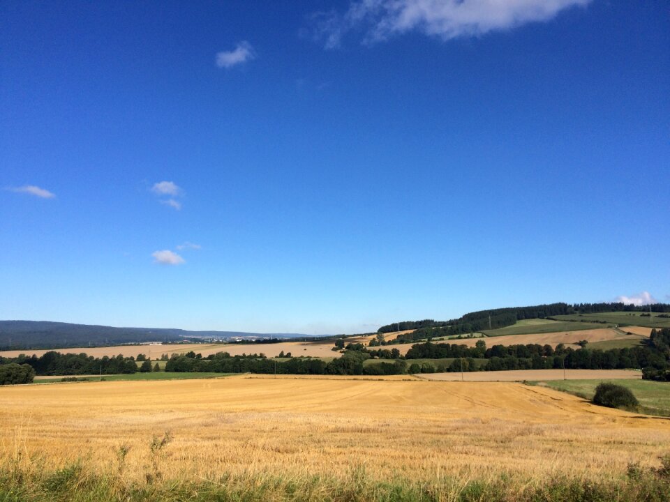 Blue sky clouds cornfield